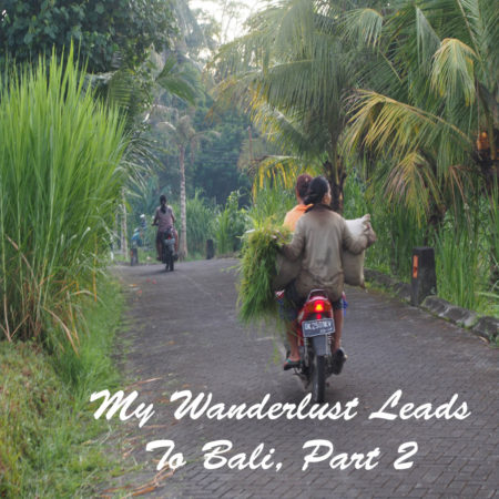 Wanderlust leads to Bali